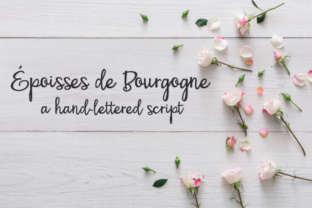 PN Époisses De Bourgogne: A Web Designer’s Review